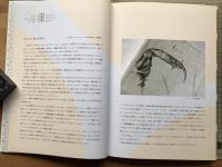 フェルメール 光の王国展 カタログ