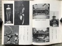 芸術入門 河出文庫特装版