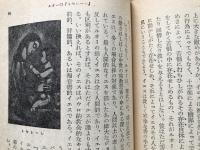 芸術入門 河出文庫特装版