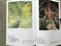 今日の日本画 第12回山種美術館賞展 特別出品 山種美術館蔵 屏風の美 大観から土牛まで