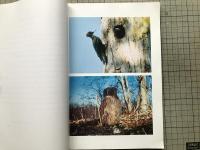 天然記念物エゾシマフクロウ・クマゲラ特別調査報告書