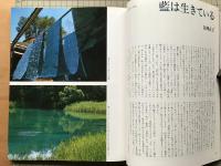 色の彩時記 目で遊ぶ日本の色