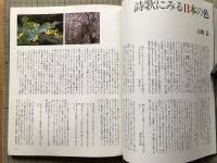 色の彩時記 目で遊ぶ日本の色