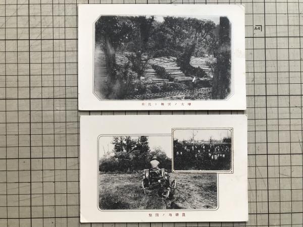 樺太庁発行 戦前絵葉書バラ11枚一括 ※養狐場・農事試験場・海豹