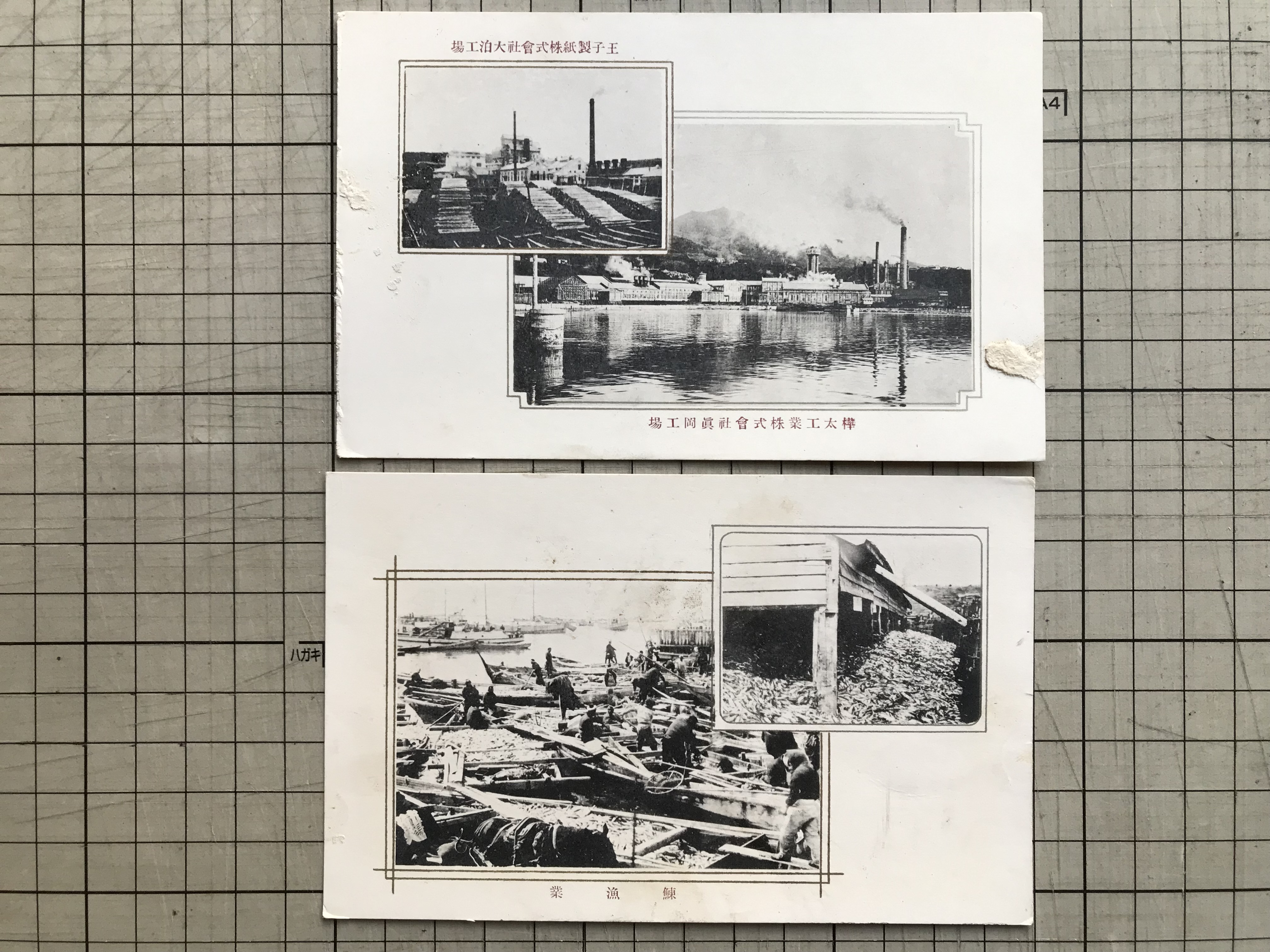 樺太庁発行 戦前絵葉書バラ11枚一括 ※養狐場・農事試験場・海豹