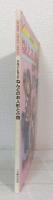 かないともこのねんどのお人形と小物 HOBBY CRAFT SERIES