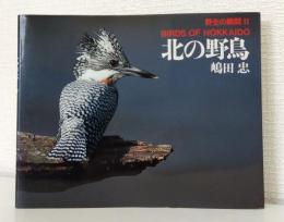 北の野鳥 野生の瞬間2