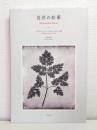 自然の鉛筆 THE PENCIL OF NATURE