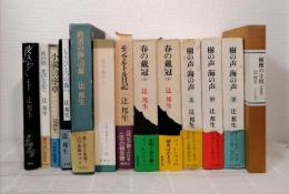 辻邦生 単行本 全初版 13冊セット