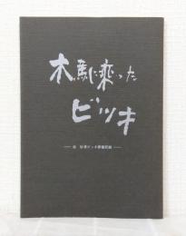木馬に乘ったビッキ : 故砂澤ビッキ葬儀記録