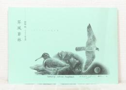 翠風蒼林 柿崎煕 エッセイと野鳥画