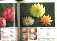 The Art of Vegetable Garnish