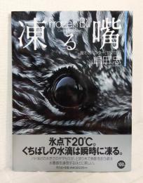 凍る嘴 厳冬のハンター[ヤマセミ]  Frozen Bill  署名本