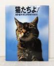 猫たちよ! MY DEAR CATS!