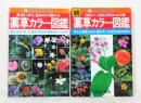 薬草カラー図鑑 正続全2冊セット わたしの健康 別冊
