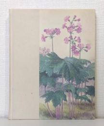 晃嶺の百花譜 五百城文哉の植物画 Botanical art of Bunsai Ioki