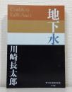 地下水 (P+D BOOKS)