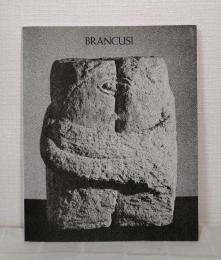 Constantin Brancusi : sculpture, dessin, photographies