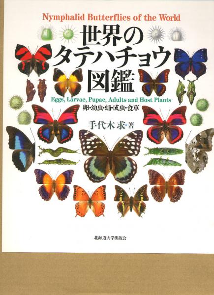 世界のタテハチョウ図鑑 卵・幼虫・蛹・成虫・食草(手代木求