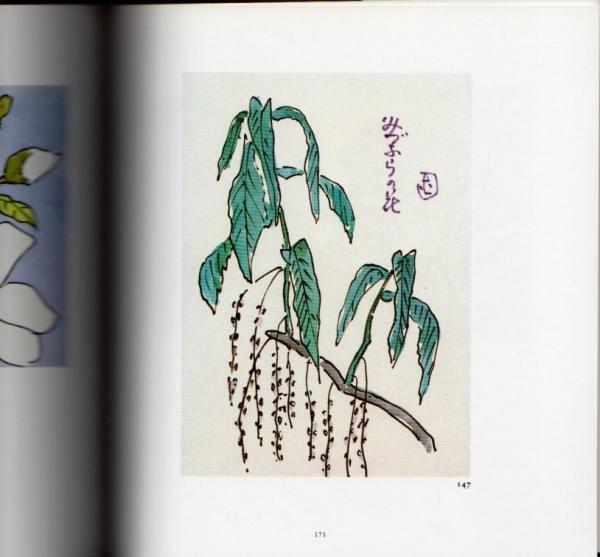 坂本直行スケッチ画集(坂本嵩 編) / 古本、中古本、古書籍の通販は「日本の古本屋」 / 日本の古本屋