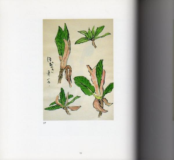 坂本直行スケッチ画集(坂本嵩 編) / 古本、中古本、古書籍の通販は「日本の古本屋」 / 日本の古本屋