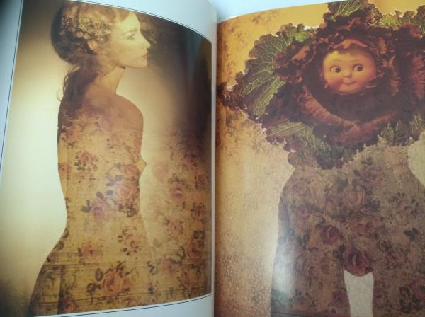 Sam Haskins photographics サム・ハスキンス 写真集 / 古本、中古本