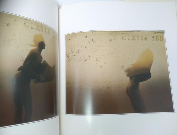 豪華な sam haskin 希少本 サム ハスキンス写真集 特別版
