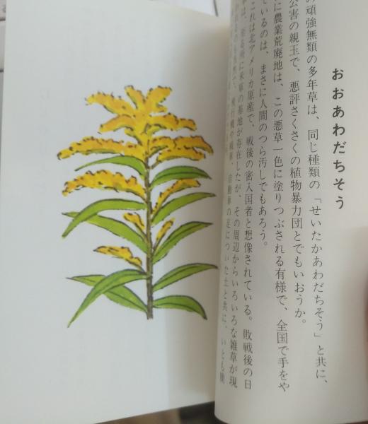 北海道の木の実草の実、北海道の山野の木と草 2冊セット(坂本直行