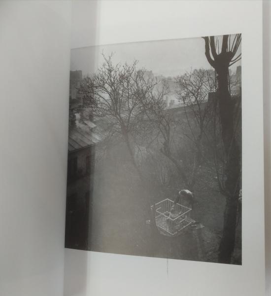 Willy Ronis ウィリー・ロニス写真集(introduction par Bertrand Eveno