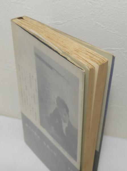 黄土の奔流 長編小説 生島治郎著 ビーバーズブックス 古本 中古本 古書籍の通販は 日本の古本屋 日本の古本屋 黄土の奔流 長編小説 生島治郎著 ビーバーズブックス 古本 中古本 古書籍の通販は 日本の古本屋 日本の古本屋