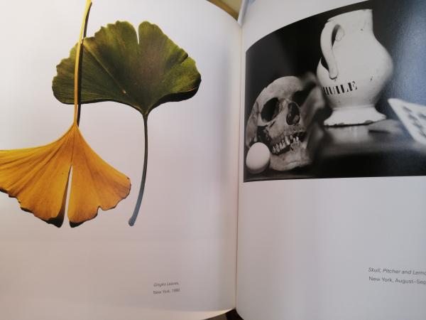 Still life Irving Penn Photographs 1938-2000(by Irving Penn Still life Irving Penn Photographs 1938-2000(by Irving Penn