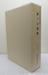 洞ノ口 (どうのくち) 遺跡 第1～第4分冊 4冊セット:仙台市文化財調査報告書 第1次・2次・4次・5次・7次・10次発掘調査報告書