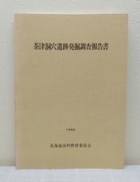 茶津洞穴遺跡発掘調査報告書