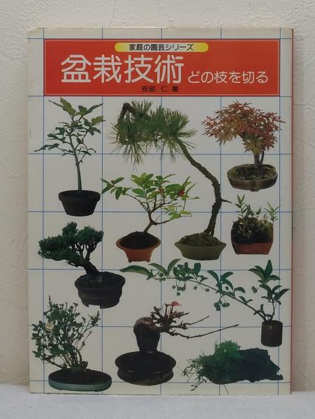 札幌近郊！盆栽多数ございます