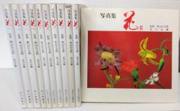 写真集 花 3～14巻揃（11抜け）の11冊セット 別冊趣味の山野草