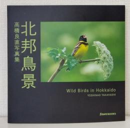 北邦鳥景 : 高橋良直写真集 Wild birds in Hokkaido FAURA BOOKS