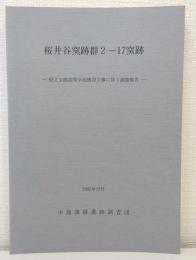 桜井谷窯跡群2-17窯跡 : 府立少路高等学校建設工事に伴う調査報告