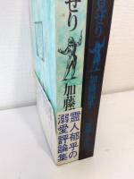 かれ発見せり 加藤郁乎評論集