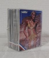 sports illustrated si swimsuit 2004 トレーディングカード 全100枚セット
