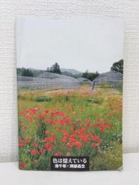 色は憶えている CAI02開館5周年記念展
