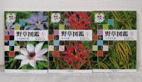 検索入門 野草図鑑