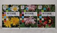 検索入門 野草図鑑