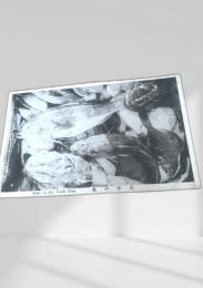 Fish in the North Seas（北洋の魚）北洋漁業