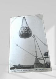 Landing Fishes at Kushiro Cannery（キシカ工場魚揚の光景）北洋漁業