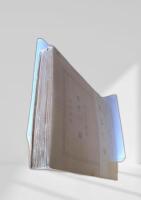 姿三四郎（三）