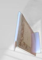 恐るべき子供たち