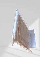 職業としての学問