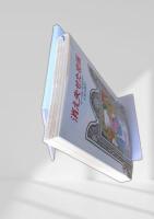 消え失せた密画