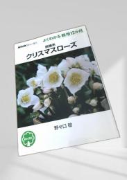 クリスマスローズ