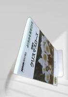 クリスマスローズ